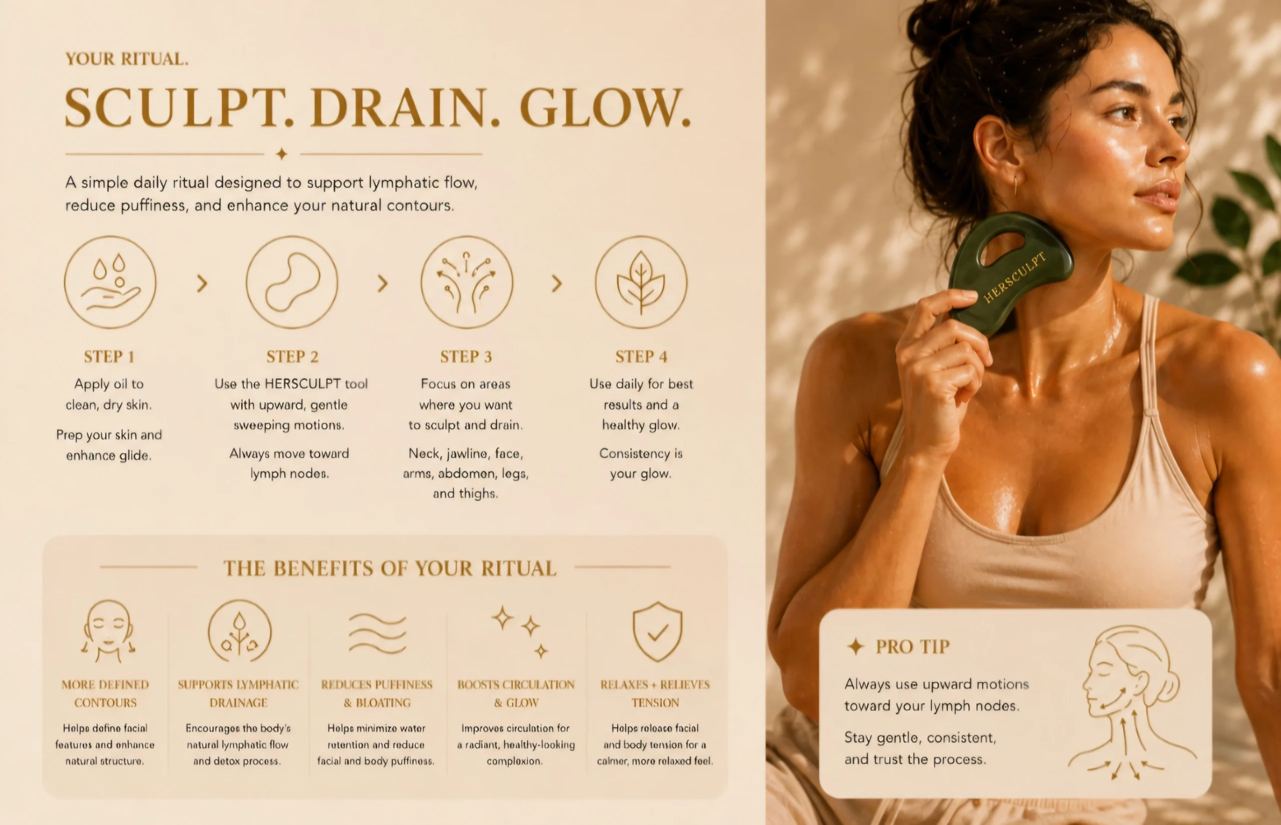 Clean, Powerful Ingredients  Rosehip Oil, Argan Oil, Pomegranate Seed Oil, Clove, Vitamin E